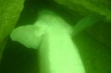 2008-09-07 10-04-38